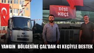 Çal Belediyesi yangın bölgesinde yaşayan yörükler için 41 damızlık keçi gönderdi.