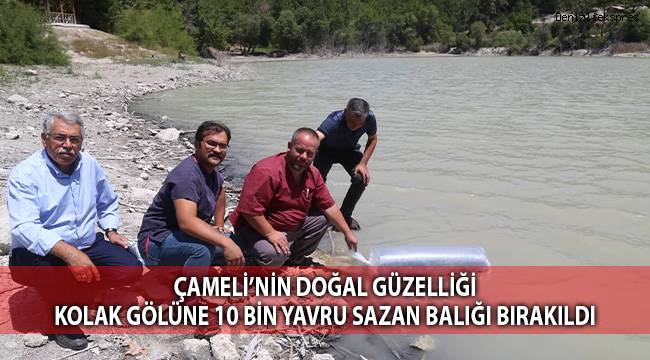 Çameli’nin doğal güzelliği Kolak Gölüne 10 bin yavru sazan balığı bırakıldı
