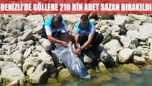 Denizli’de göllere 210 bin adet yavru sazan bırakıldı
