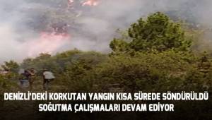 Denizli'deki korkutan orman yangını söndürüldü