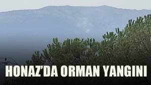 Denizli Honaz’da orman yangını çıktı