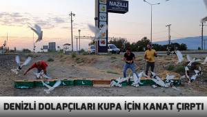 Denizli'nin 9 asırlık patentli özel ırk güvercinleri kupa için kanat çırptı