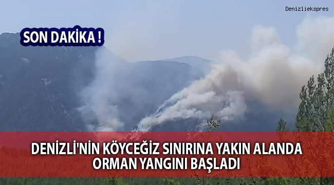 Denizli'nin Köyceğiz sınırına yakın alanda orman yangını başladı