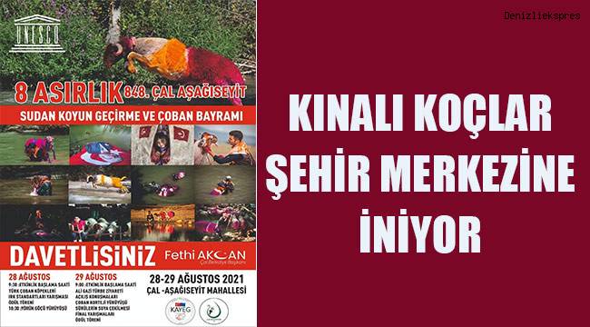 Kınalı koçlar şehir merkezine iniyor