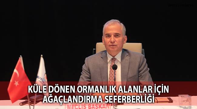 Küle dönen ormanlık alanlar için ağaçlandırma seferberliği