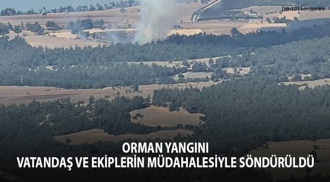 Orman yangını vatandaş ve ekiplerin müdahalesiyle söndürüldü