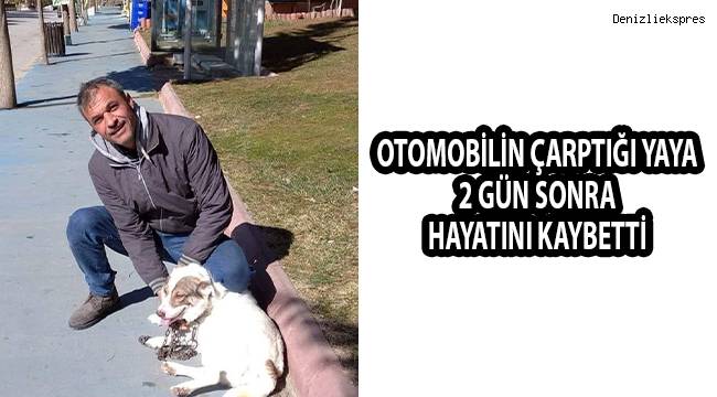 Otomobilin çarptığı yaya 2 gün sonra hayatını kaybetti