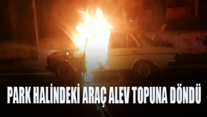 Park halindeki araç alev alev yandı