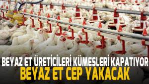 Sofralarda beyaz eti mumla arayacağız. Beyaz et cep yakacak