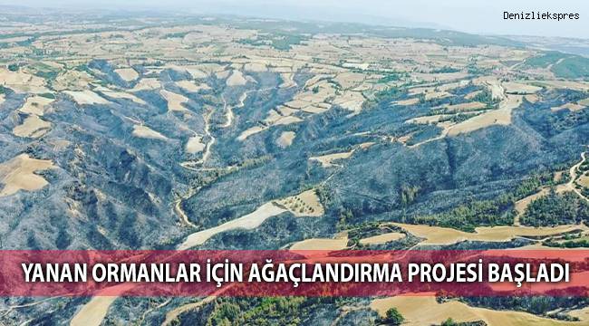 Yanan ormanlar için ağaçlandırma projesi başladı