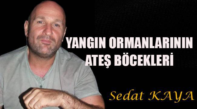 YANGIN ORMANLARININ ATEŞ BÖCEKLERİ