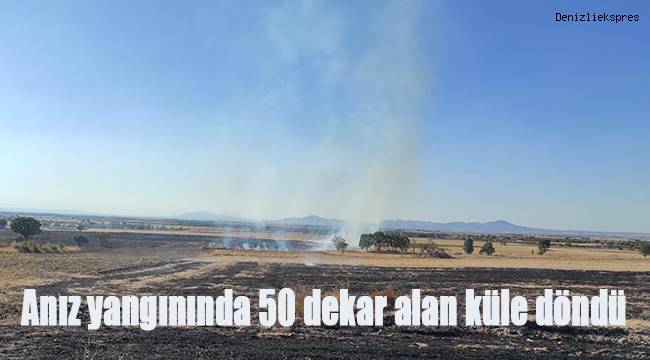 Anız yangınında 50 dekar alan küle döndü
