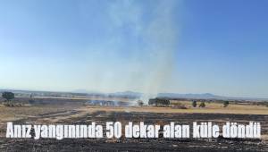 Anız yangınında 50 dekar alan küle döndü