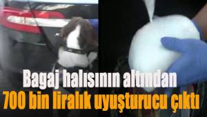 Bagaj halısının altından 700 bin liralık uyuşturucu çıktı