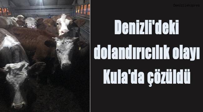Denizli'deki dolandırıcılık olayı Kula'da çözüldü