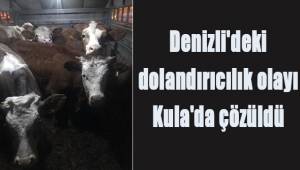 Denizli'deki dolandırıcılık olayı Kula'da çözüldü