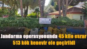 Jandarma operasyonunda 45 kilo esrar, 513 kök kenevir ele geçirildi