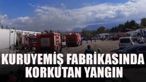 Kuruyemiş fabrikasında korkutan yangın