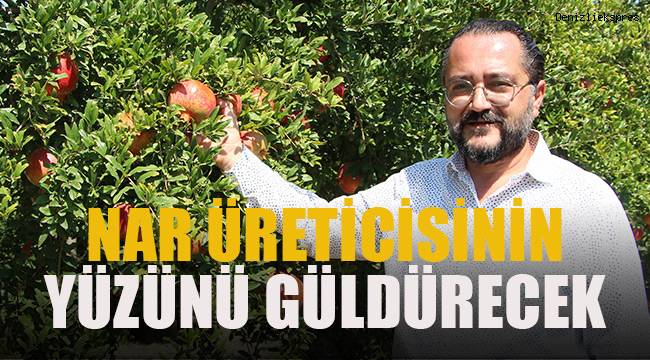 Nar üreticisinin yüzünü güldürecek