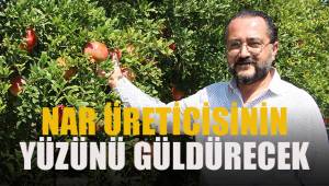 Nar üreticisinin yüzünü güldürecek