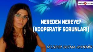 Nereden Nereye? (Kooperatif Sorunları)
