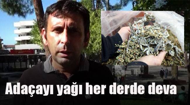 Adaçayı yağı her derde deva