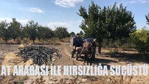At arabası ile hırsızlığa suçüstü