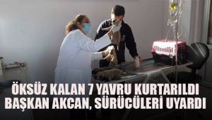 Başkan Akcan, sürücüleri uyardı