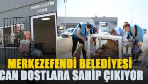 Bugün 4 Ekim Dünya Hayvanları Koruma Günü