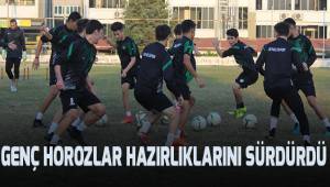 Genç horozlar hazırlıklarını sürdürdü