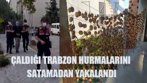 Ham olarak çaldığı Trabzon hurmalarını satmak yerine evine götürüp işledi