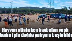Hayvan otlatırken kaybolan yaşlı kadın için dağda çalışma başlatıldı