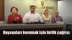 Hayvanları korumak için birlik çağrısı
