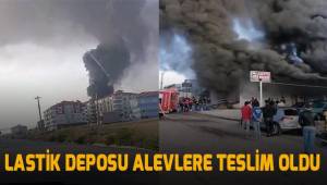 Lastik deposu alevlere teslim oldu