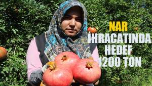 Nar ihracatında hedef 1200 ton