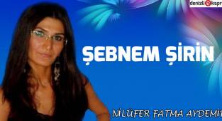 Şebnem Şirin