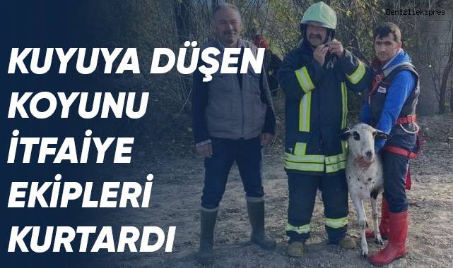 10 metrelik kuyuya düşen koyunu itfaiye erleri kurtardı