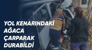 Ağaca çarparak durabilen otomobilde sıkışan sürücüyü itfaiyeciler kurtardı