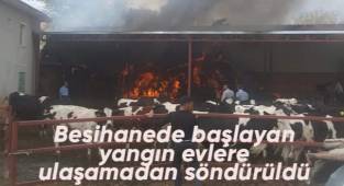 Besihanede başlayan yangın evlere ulaşamadan söndürüldü