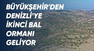 Büyükşehir'den Denizli'ye ikinci bal ormanı geliyor