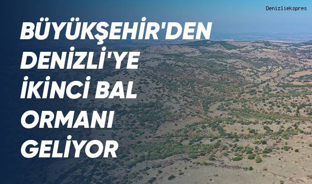 Büyükşehir'den Denizli'ye ikinci bal ormanı geliyor