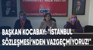 CHP İl Kadın Kolları Başkanı Kocabay: