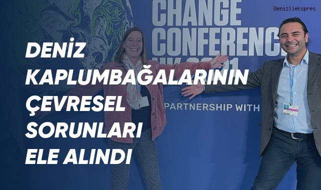 Deniz kaplumbağalarının çevresel sorunları ele alındı