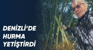 Denizli’de hurma yetiştirdi