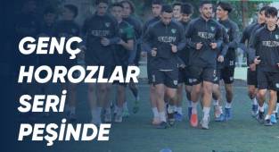 Genç horozlar seri peşinde