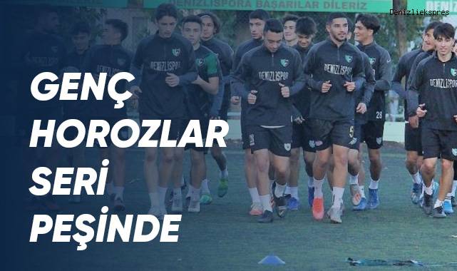 Genç horozlar seri peşinde