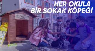 HER OKULA BİR SOKAK KÖPEĞİ