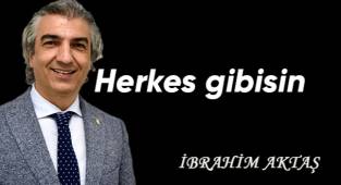 Herkes gibisin
