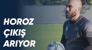 Horoz çıkış arıyor