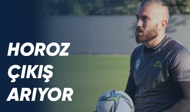 Horoz çıkış arıyor